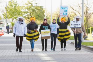 Bijen demonstratie