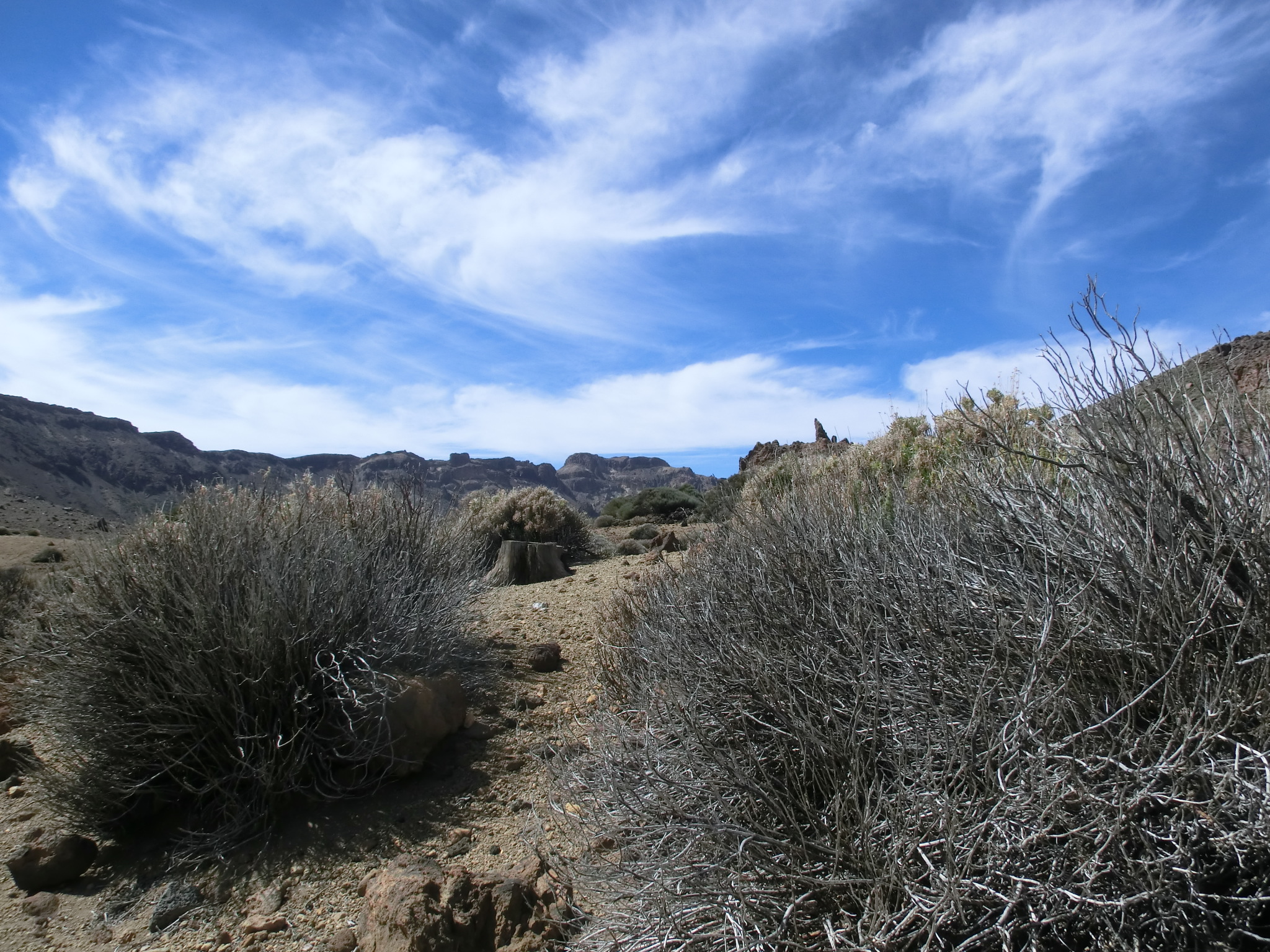 Ongezonde nieuwsgierigheid met gezonde effecten