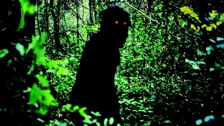 Dalend consumentenvertrouwen