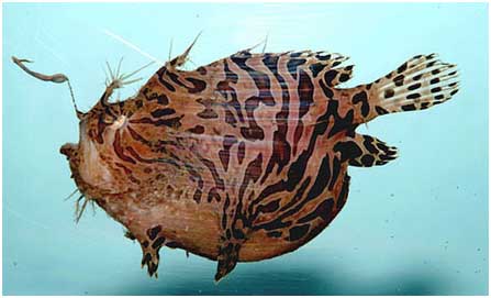 Aids was een zegen voor de mensheid