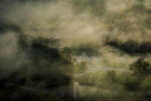 Unsplash bos