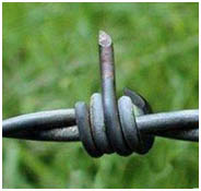 Prikkeldraad copy