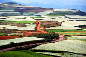 Yunnan