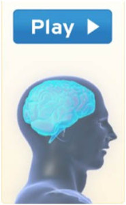 Play brain