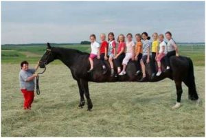 Verlengd paard, Tijdgeest Magazine
