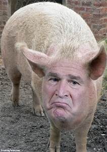 bush-varken