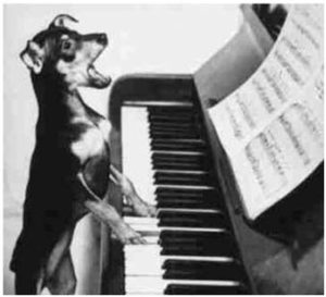 piano-hondje-copy
