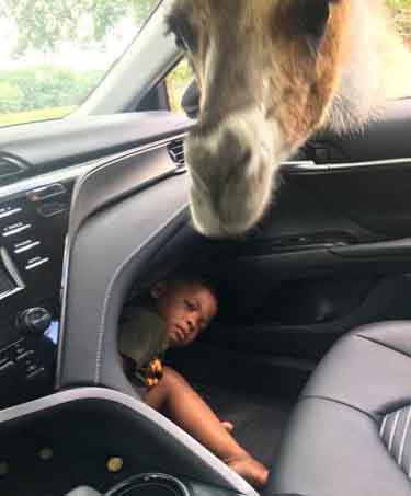 PROTESTEER DINSDAG A.S. OM 12.00 UUR OP HET BINNENHOF